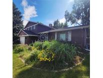 Charming home featuring a lush front yard with vibrant flowers and mature trees at 8229 Estes Ct, Arvada, CO 80005