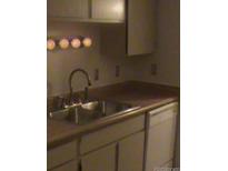 A kitchen featuring a double sink, wood-look countertops, and basic appliances at 1845 N Kendall St # 316D, Lakewood, CO 80214