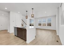 Open-concept kitchen with island, modern appliances, and abundant natural light flowing into the living area at 9022 Spaulding St, Parker, CO 80134