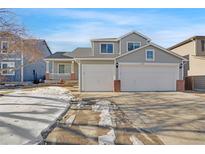 Two-story house with a gray exterior, two-car garage, and a partially snow-covered front yard at 8937 Apache Plume Dr, Parker, CO 80134