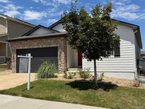 Charming single-story home featuring a brick facade, a dark garage door, and a well-maintained front lawn at 4391 Mcmurdo Ct, Castle Rock, CO 80108