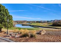 Scenic view of a meticulously maintained golf course with a serene lake and upscale homes in the background at 1913 Five Iron Dr, Castle Rock, CO 80104