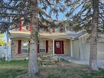 Two-story house with red shutters, attached garage, and landscaping at 11427 Brownstone Dr, Parker, CO 80138