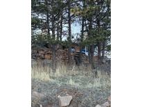 Exterior view of the home with a rock wall surrounded by trees and foliage at 433 Gunn Ave, Berthoud, CO 80513