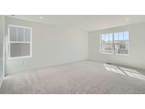 Bright bedroom featuring neutral carpet, white walls, and large windows at 28644 E 7Th Ave, Watkins, CO 80137