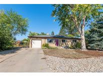 Charming single-story home featuring a well-kept lawn, mature trees, and a purple front door at 5183 W Columbia Pl, Denver, CO 80236