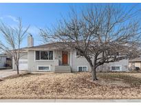 Ranch style home with a brick facade, mature trees, and a spacious yard at 4675 Reed St, Wheat Ridge, CO 80033