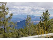 Breathtaking mountain view from the property showcasing snow-capped peaks and lush forestry at 13452 Riley Peak Rd, Conifer, CO 80433