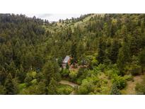 Secluded home with mountain views surrounded by lush trees and greenery at 5425 Us Highway 285, Morrison, CO 80465