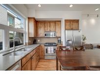 Modern kitchen with stainless steel appliances, wood cabinets, and a large window offering lots of natural light at 2607 W 24Th Ave, Denver, CO 80211