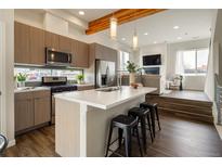 Modern kitchen features stainless steel appliances, wooden cabinets, a spacious island and open layout to the living room at 1239 Tennyson St # 10, Denver, CO 80204