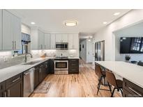 Modern kitchen featuring updated cabinetry, stainless steel appliances, and quartz countertops at 1499 E Panama Dr, Centennial, CO 80121