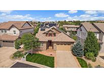 Stunning single-Gathering home boasts mature trees, brick accents and a manicured lawn at 10632 Star Thistle Ct, Highlands Ranch, CO 80126