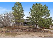 Charming two-story home with a stone garden and lush landscaping with mature trees at 8165 Tempest Ridge Way, Parker, CO 80134