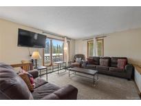 Inviting living room featuring comfortable seating and a bright window view of the outdoors at 24 Ski Pole Ct, Breckenridge, CO 80424