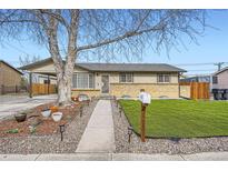 Charming single-story home showcasing a well-maintained front yard, brick accents, and tasteful landscaping at 9152 Cypress Dr, Thornton, CO 80229