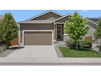 Charming single-Gathering home featuring a well-maintained lawn, a two-car garage, and a welcoming front porch at 55 S Edge Cliff St, Castle Rock, CO 80104