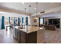 Open concept kitchen with large island, granite countertops, and stainless steel appliances flowing into the adjacent living area at 6211 Leilani Ln, Castle Rock, CO 80108