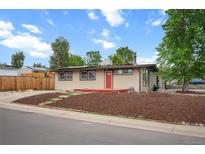 Charming single story home with a red front door, new landscaping and large shade tree in a quiet neighborhood at 491 Campo St, Denver, CO 80221