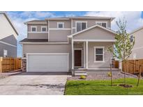 Beautiful two-story home with a two car garage and professional landscaping at 48260 Shetland Dr, Bennett, CO 80102