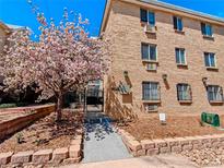 Charming brick apartment building with a beautiful flowering tree in the front yard at 1135 N Elizabeth St # 102, Denver, CO 80206