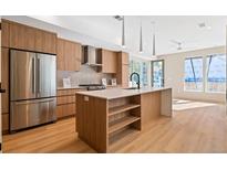 Modern kitchen with stainless steel appliances and an island at 2325 S High St, Denver, CO 80210