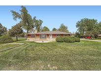 Charming single-story home with a well-manicured lawn and mature trees under a clear blue sky at 14505 W 52Nd Ave, Arvada, CO 80002