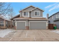 Charming two-story home with a spacious two-car garage and well-maintained gray siding at 4453 W Mountain Vista Ln, Castle Rock, CO 80109