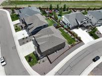 An aerial view of several homes showcasing backyard spaces and neighborhood layout in a residential area at 1624 Pinion Wing Cir, Castle Rock, CO 80108