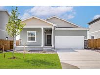 Charming single-Gathering home with a well-manicured lawn, two car garage and welcoming front porch at 48215 Shetland Dr, Bennett, CO 80102