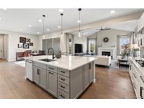 Open floorplan boasts an eat in kitchen, living room and dining area perfect for entertaining and cooking at 3131 Keepsake Way, Castle Rock, CO 80109