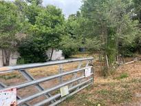 View of the property entrance with metal gate and surrounding greenery at 5302 Tennyson St, Denver, CO 80212