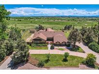 Expansive aerial view of a sprawling home with lush greenery and scenic landscape, perfect for luxurious living at 14030 E Progress Way, Aurora, CO 80015