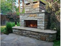 Outdoor stone fireplace with flagstone hearth and decorative stone chimney, surrounded by lush greenery at 732 Poplar St, Denver, CO 80220