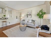 Cozy living room with a modern sofa, stylish rug, and bright natural light at 732 Poplar St, Denver, CO 80220
