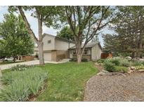 Landscaped front yard with mature trees, green lawn, and beautiful flowerbeds leading to a charming light green home at 6514 Zinnia St, Arvada, CO 80004