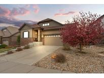 Beautifully landscaped front yard with a stone driveway leading to the attached two-car garage at 7790 S Queensburg Way, Aurora, CO 80016