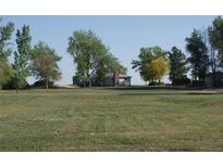 Charming home on a large lot, surrounded by mature trees and lush greenery, perfect for peaceful living at 6363 County Road 20, Longmont, CO 80504