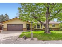 Charming single-Gathering home featuring a large mature tree in the front yard and a two-car garage at 2310 Squires Ct, Longmont, CO 80501