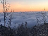 Picturesque sunset view over the clouds, framed by trees at 1758 Sinton Rd, Evergreen, CO 80439
