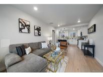 Bright open living room with a comfortable gray couch and modern decor flows seamlessly into the kitchen at 3738 N Eliot St # 2, Denver, CO 80211