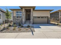 Charming single-Gathering home featuring stone accents, landscaped front yard, and an attached two-car garage at 20 Leafy Aster Ln, Castle Rock, CO 80104