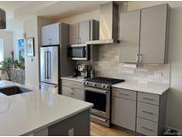 Modern kitchen featuring gray cabinets, stainless steel appliances, and a white countertop island at 1284 Osceola St, Denver, CO 80204