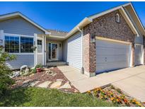 Charming single Gathering home showcasing a brick facade and a 2-car garage with flower bed at 3859 Rawhide Cir, Castle Rock, CO 80104