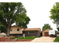 Charming split-level home with brick accents, mature trees, and a spacious front yard at 11823 Williams Way, Northglenn, CO 80233