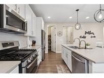Well-equipped kitchen features stainless steel appliances, modern fixtures, and ample storage at 16400 Alberta Dr, Parker, CO 80134