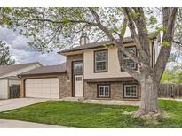 Two story house with light brick, large tree, and manicured lawn on an overcast day at 9374 W Friend Dr, Littleton, CO 80128