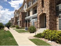 Beautiful multi-story townhomes featuring stone accents, well-maintained landscaping, and inviting entryways at 452 Black Feather Loop # 612, Castle Rock, CO 80104