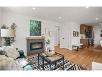 Cozy living room with a fireplace, modern decor, and a stylish black and white rug at 949 Pontiac St, Denver, CO 80220