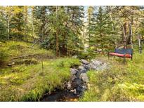 Secluded backyard featuring a bench near a stream surrounded by lush green trees at 32217 Buffalo Park Rd, Evergreen, CO 80439
